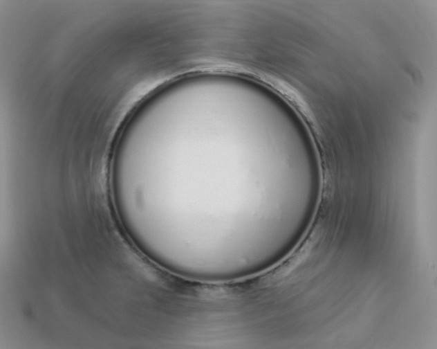 X0000114031231200910161812