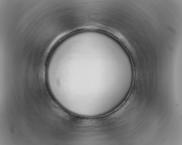 X0000114031232200910161812