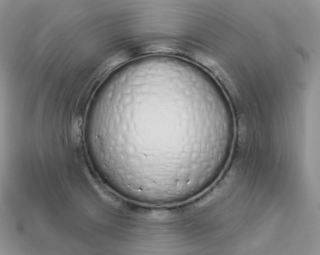 X0000114031233200910161812