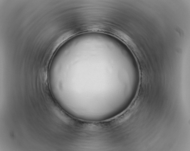 X0000114031234200910161812