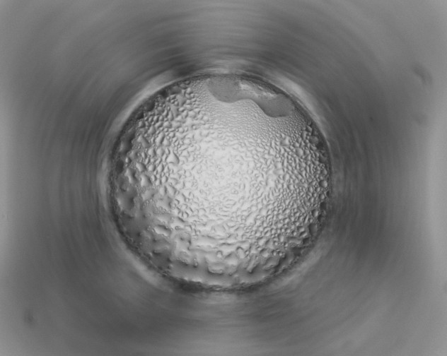 X0000114031235200910161812