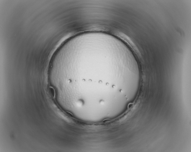 X0000114031236200910161812