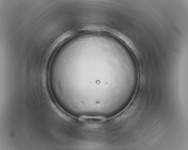 X0000114031237200910161812