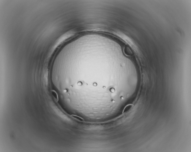 X0000114031238200910161812