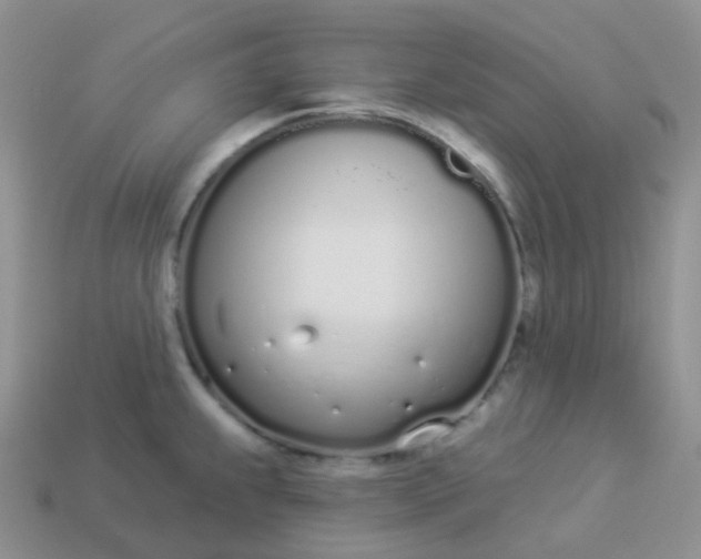 X0000114031239200910161812