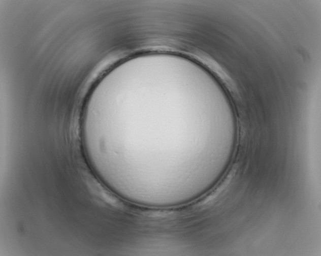 X0000114031240200910161812