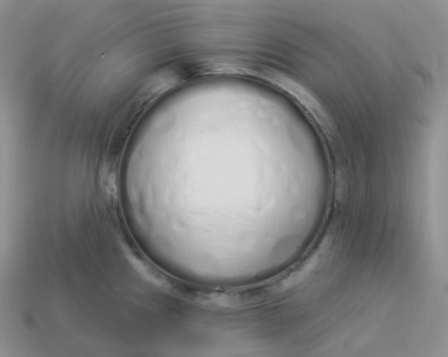 X0000114031241200910161812