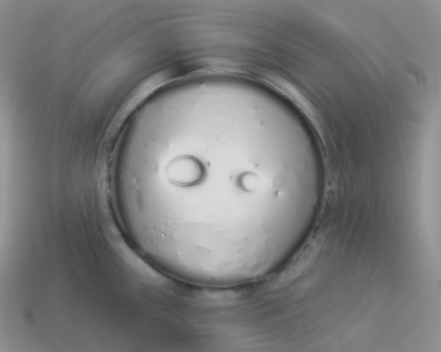 X0000114031243200910161812