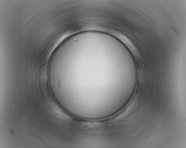 X0000114031244200910161812