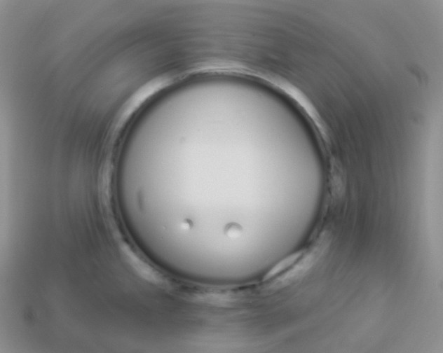 X0000114031245200910161812