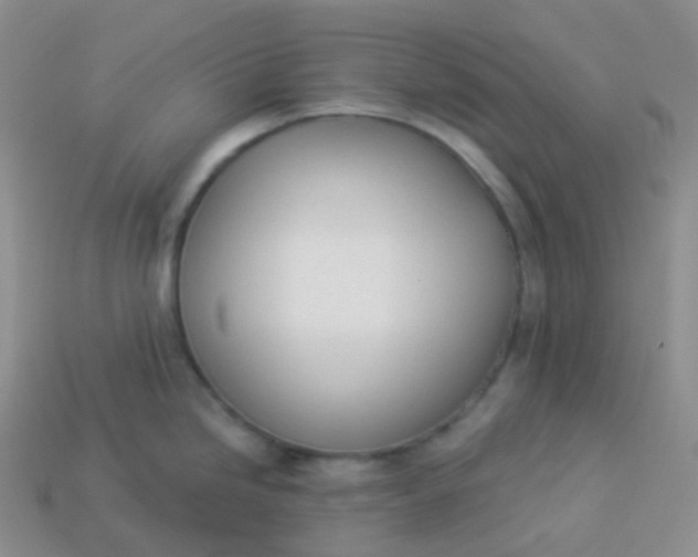 X0000114031246200910161812