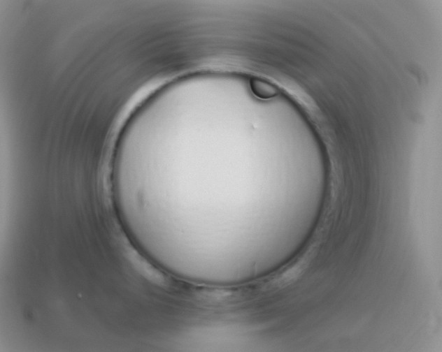 X0000114031248200910161812