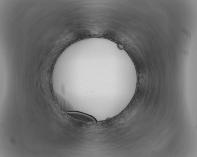 X0000114031249200910161812