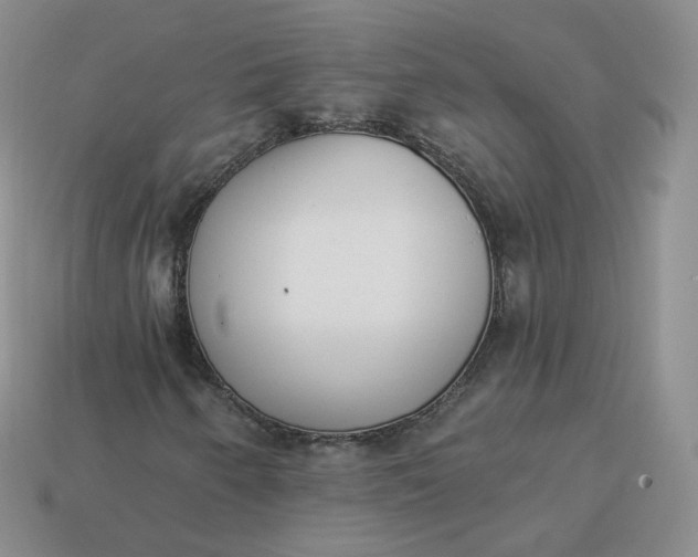 X0000114031250200910161812