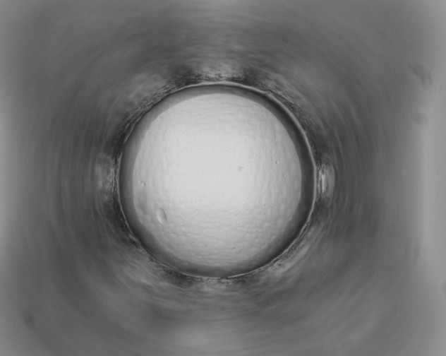 X0000114031251200910161812