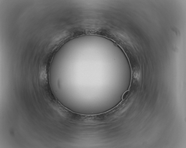 X0000114031252200910161812