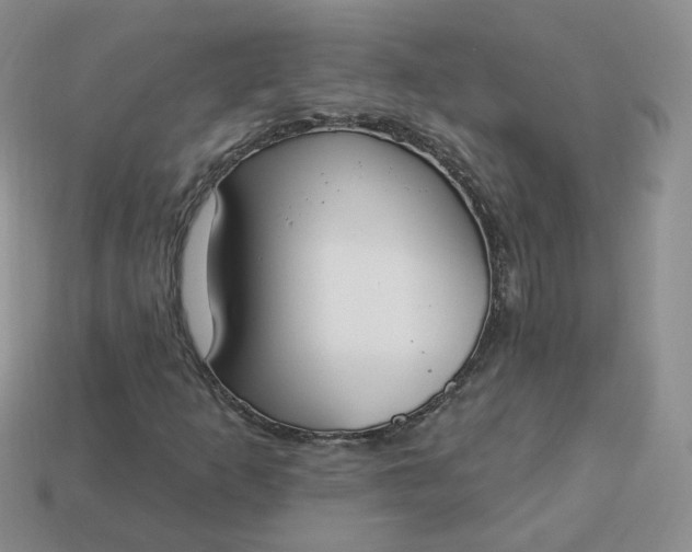 X0000114031253200910161812