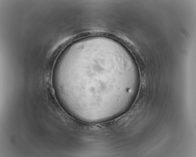 X0000114031255200910161812