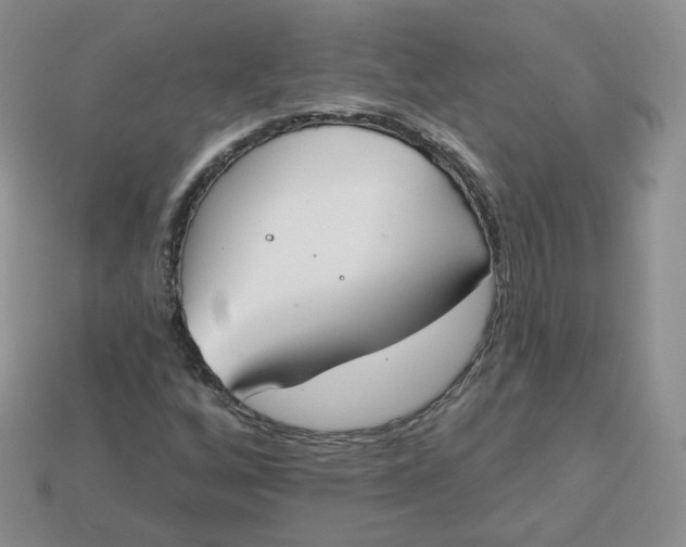 X0000114031256200910161812