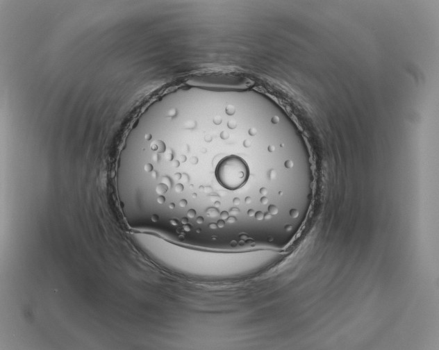 X0000114031257200910161812