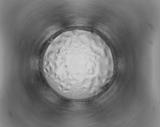 X0000114031258200910161812