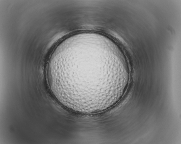 X0000114031259200910161812