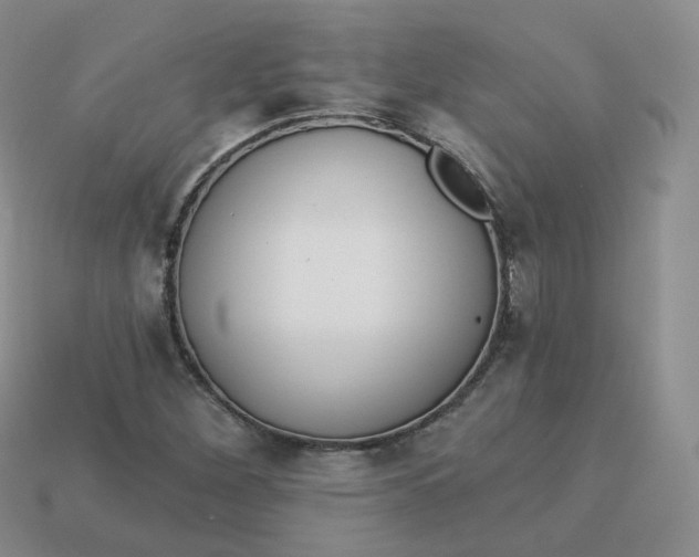 X0000114031260200910161812