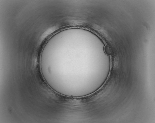 X0000114031261200910161811