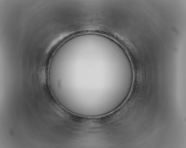 X0000114031262200910161811