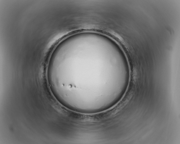 X0000114031263200910161811