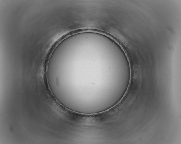 X0000114031264200910161811