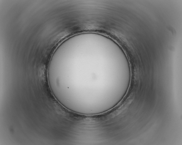 X0000114031265200910161811