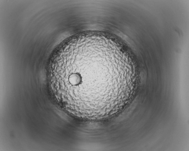 X0000114031266200910161811