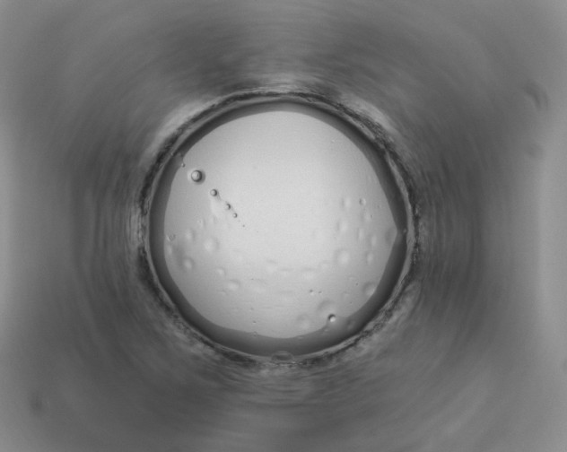 X0000114031267200910161811