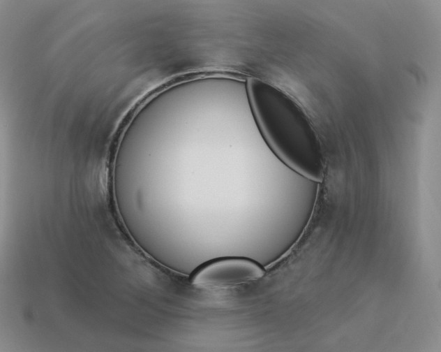 X0000114031268200910161811