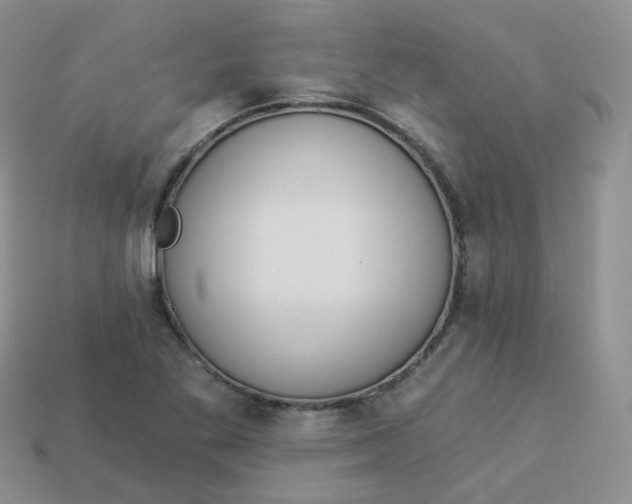 X0000114031269200910161811