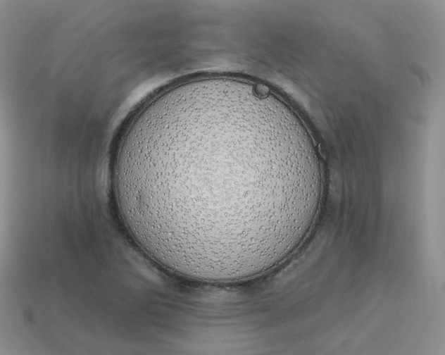 X0000114031270200910161811