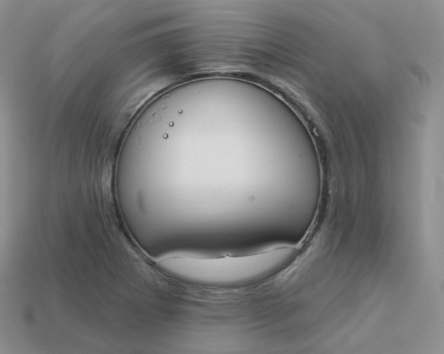 X0000114031273200910161811