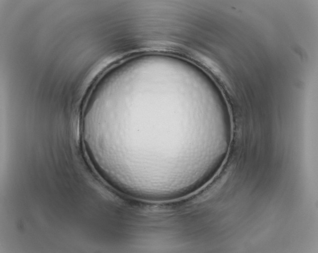 X0000114031275200910161811