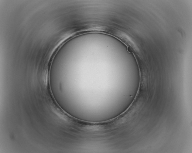 X0000114031276200910161811