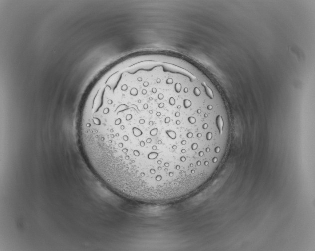 X0000114031278200910161811