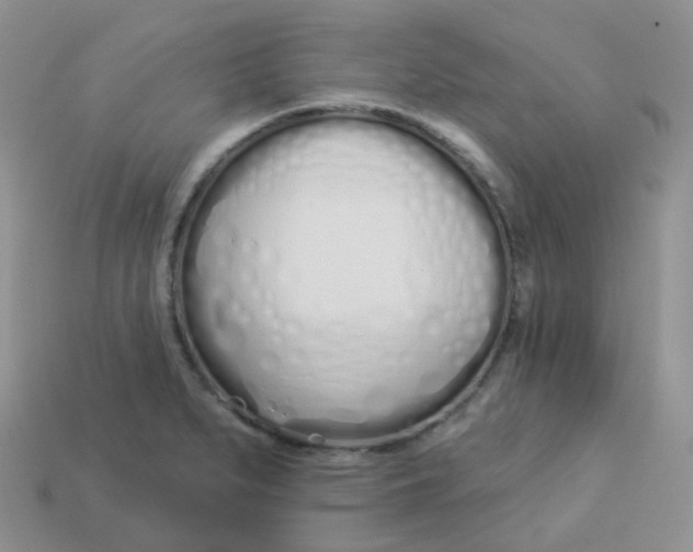 X0000114031279200910161811