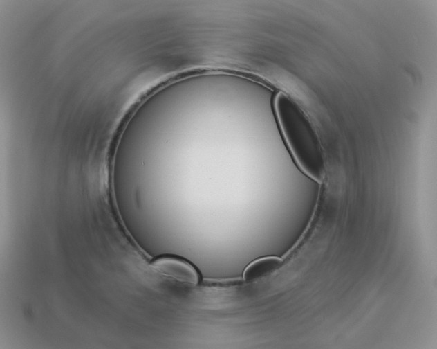 X0000114031280200910161811