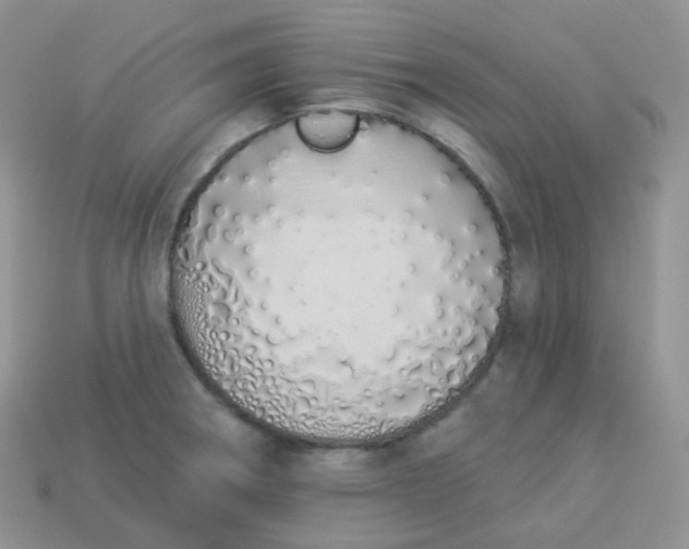 X0000114031282200910161811