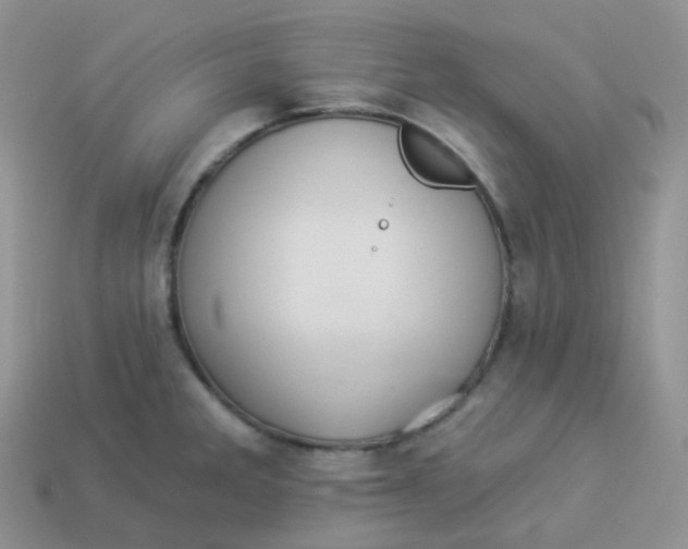 X0000114031285200910161811