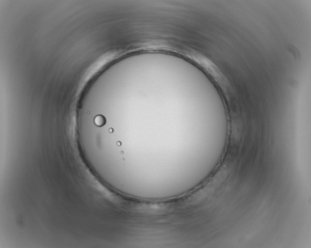 X0000114031286200910161811