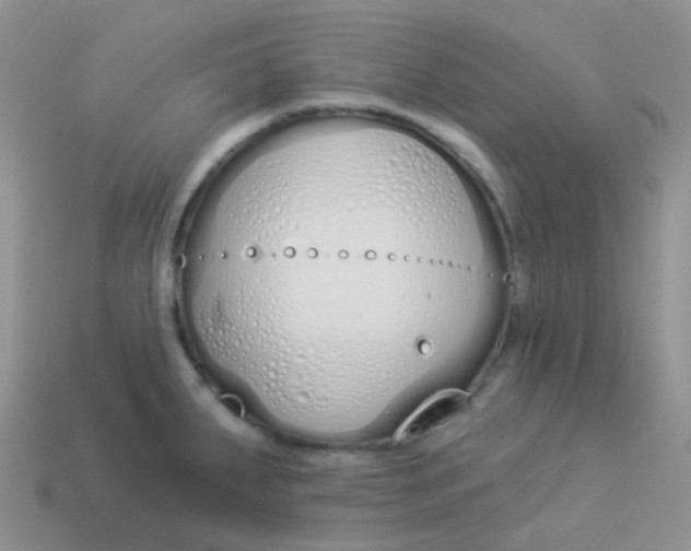 X0000114031287200910161811