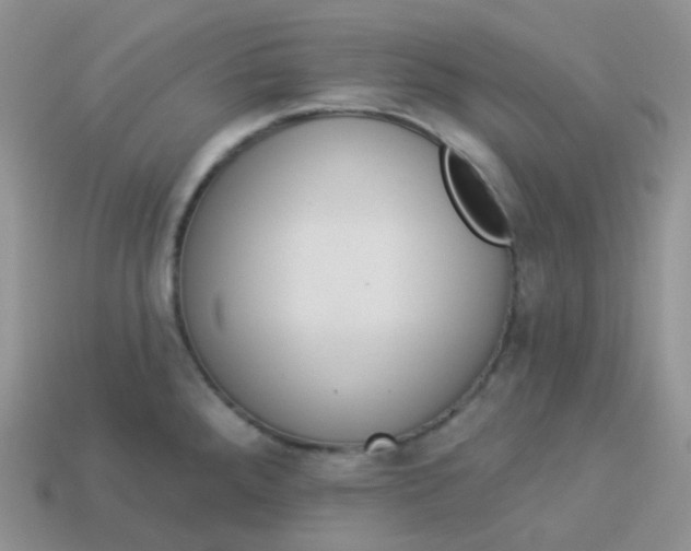 X0000114031288200910161811