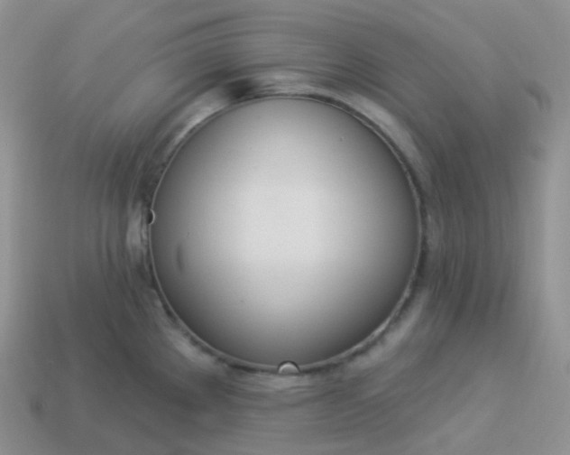 X0000114031289200910161811