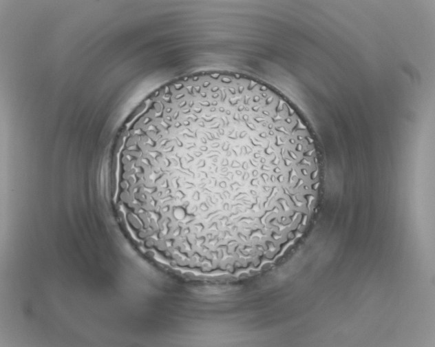 X0000114031290200910161811